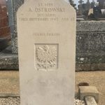 Ostrowski